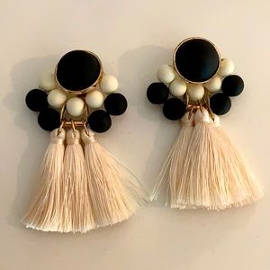 HP🎉 Tassel earrings 🖤